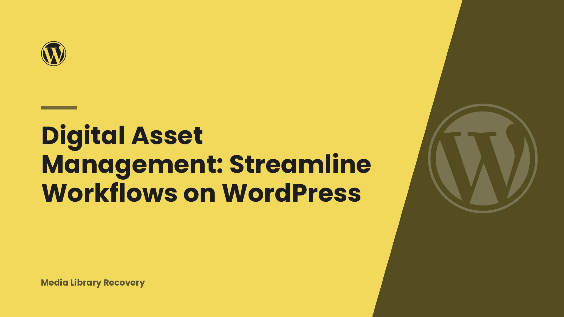 Digital Asset Management: Streamline Workflows on WordPress
