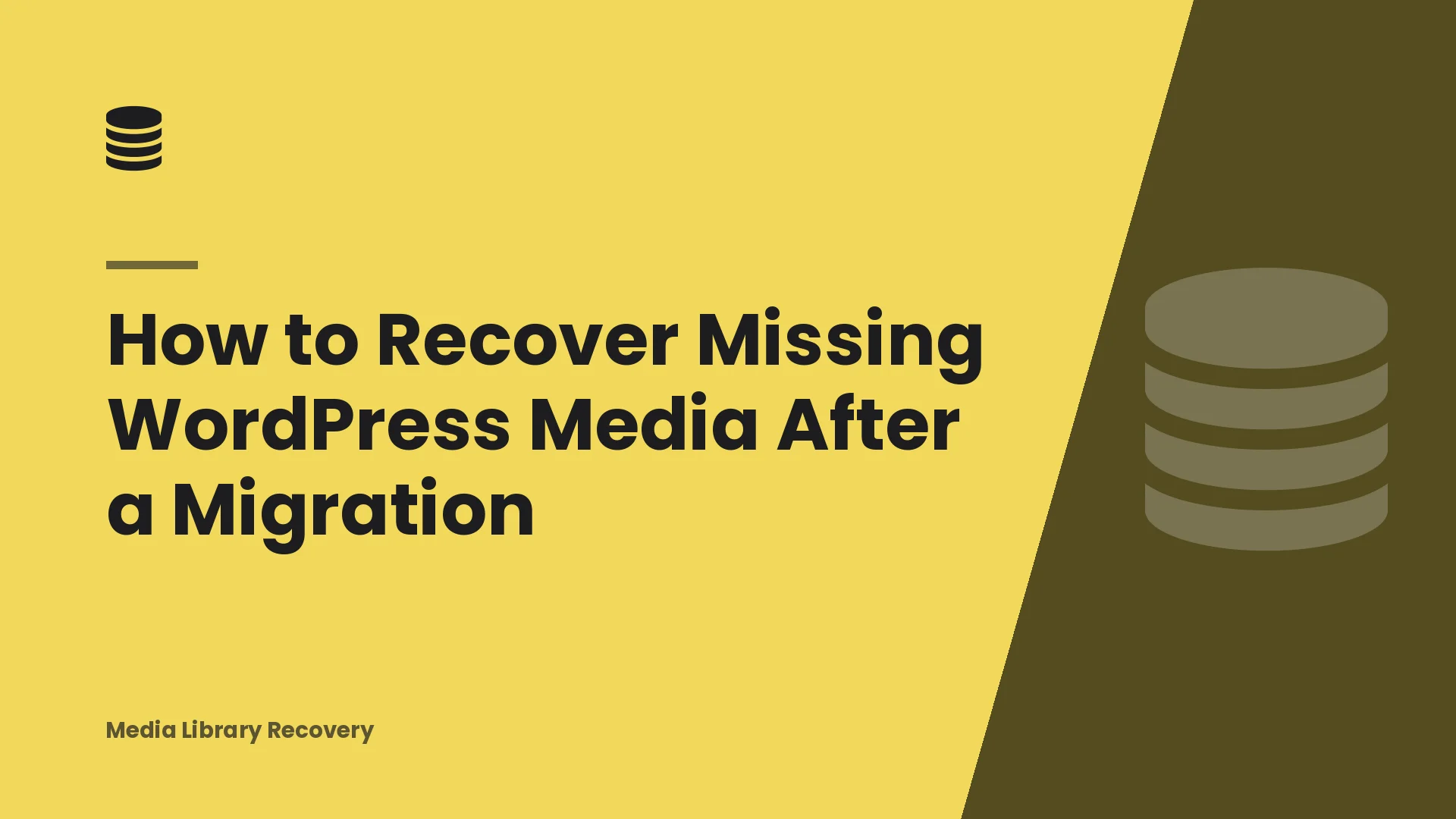 How to Recover Missing WordPress Media After a Migration