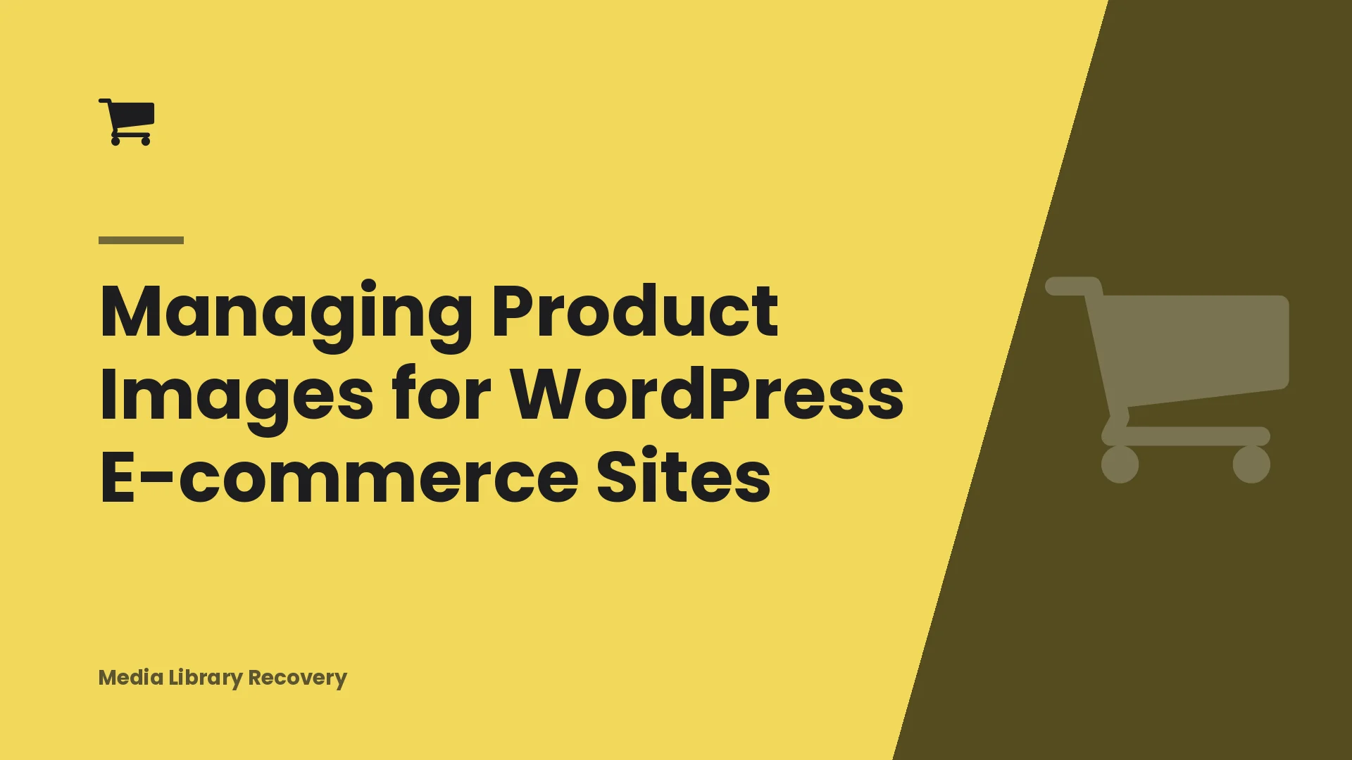 Managing Product Images for WordPress E-commerce Sites