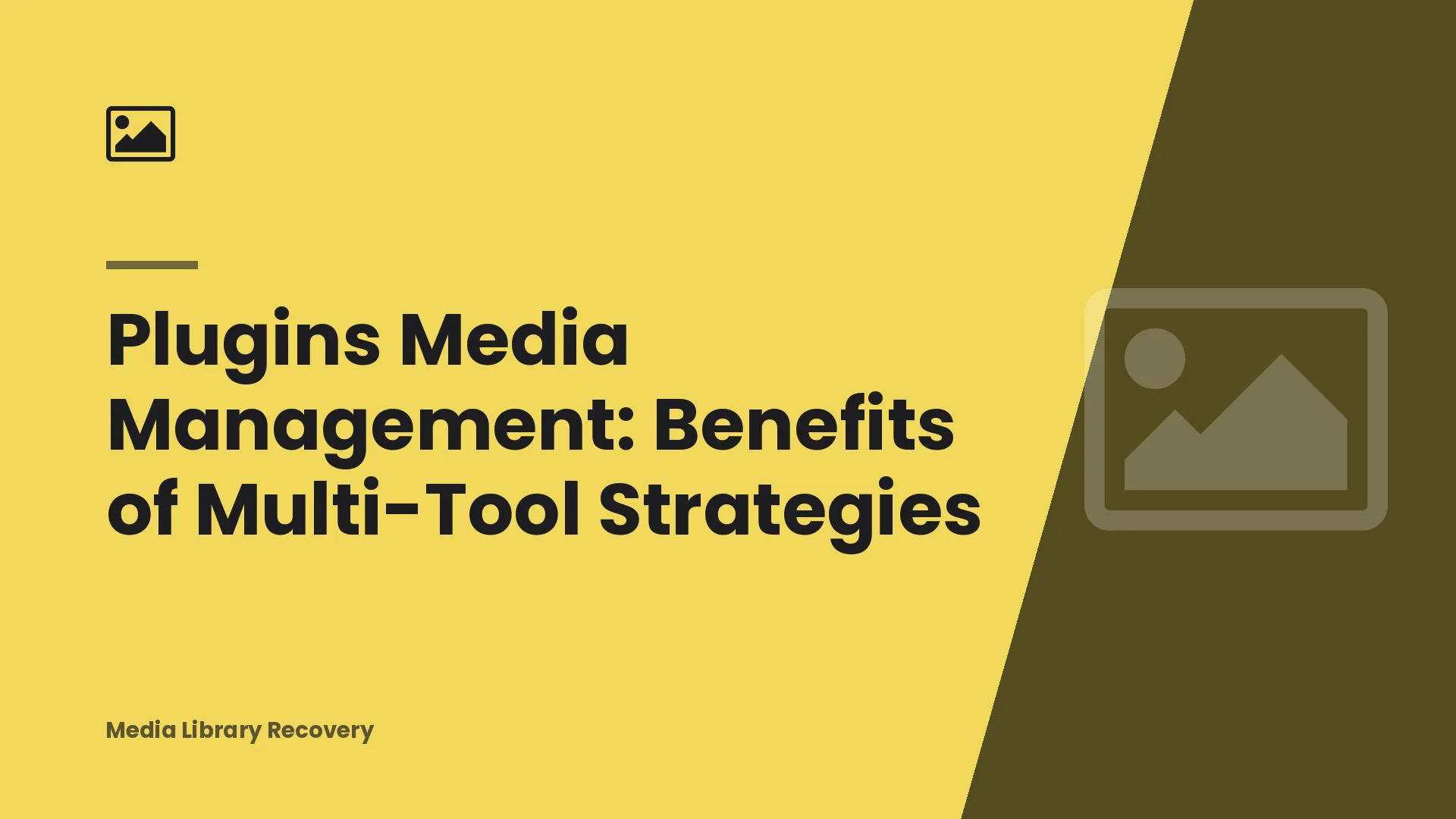 Plugins Media Management: Benefits of Multi-Tool Strategies