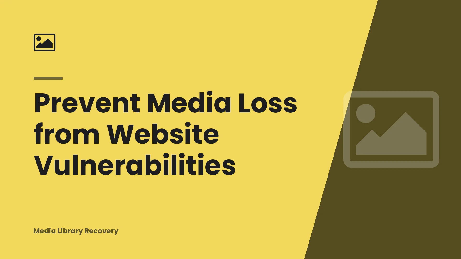 Prevent Media Loss from Website Vulnerabilities