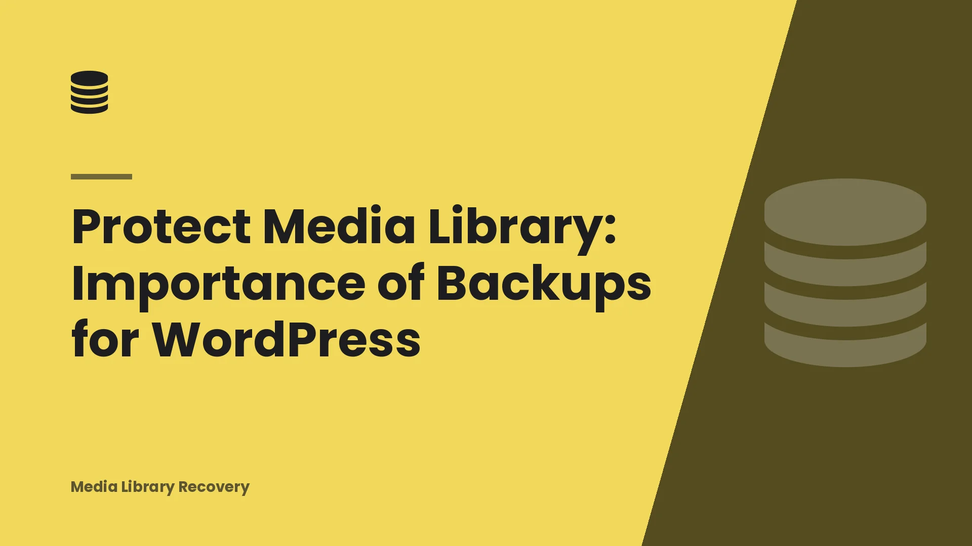 Protect Media Library: Importance of Backups for WordPress
