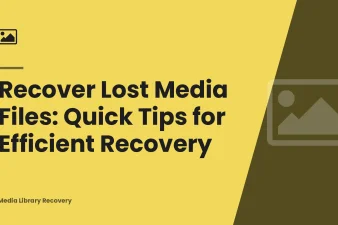 Recover Lost Media Files: Quick Tips for Efficient Recovery