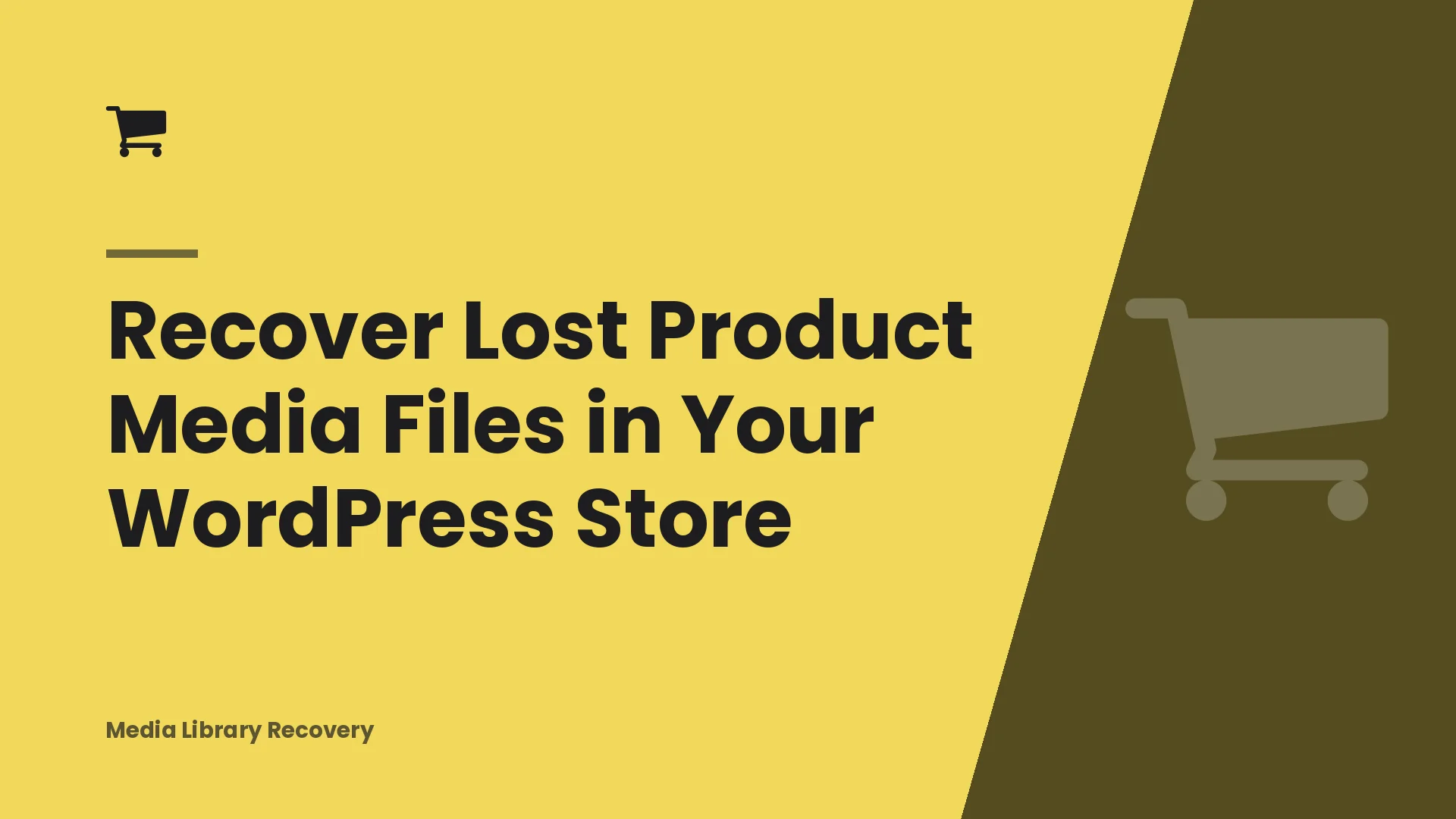Recover Lost Product Media Files in Your WordPress Store