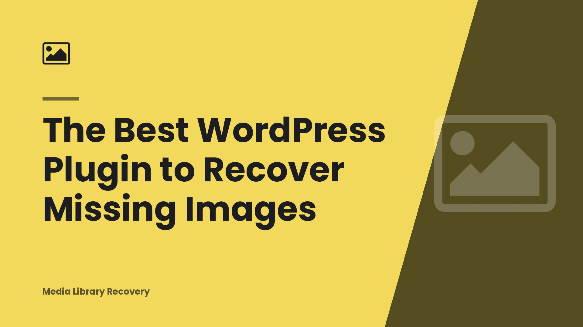 The Best WordPress Plugin to Recover Missing Images