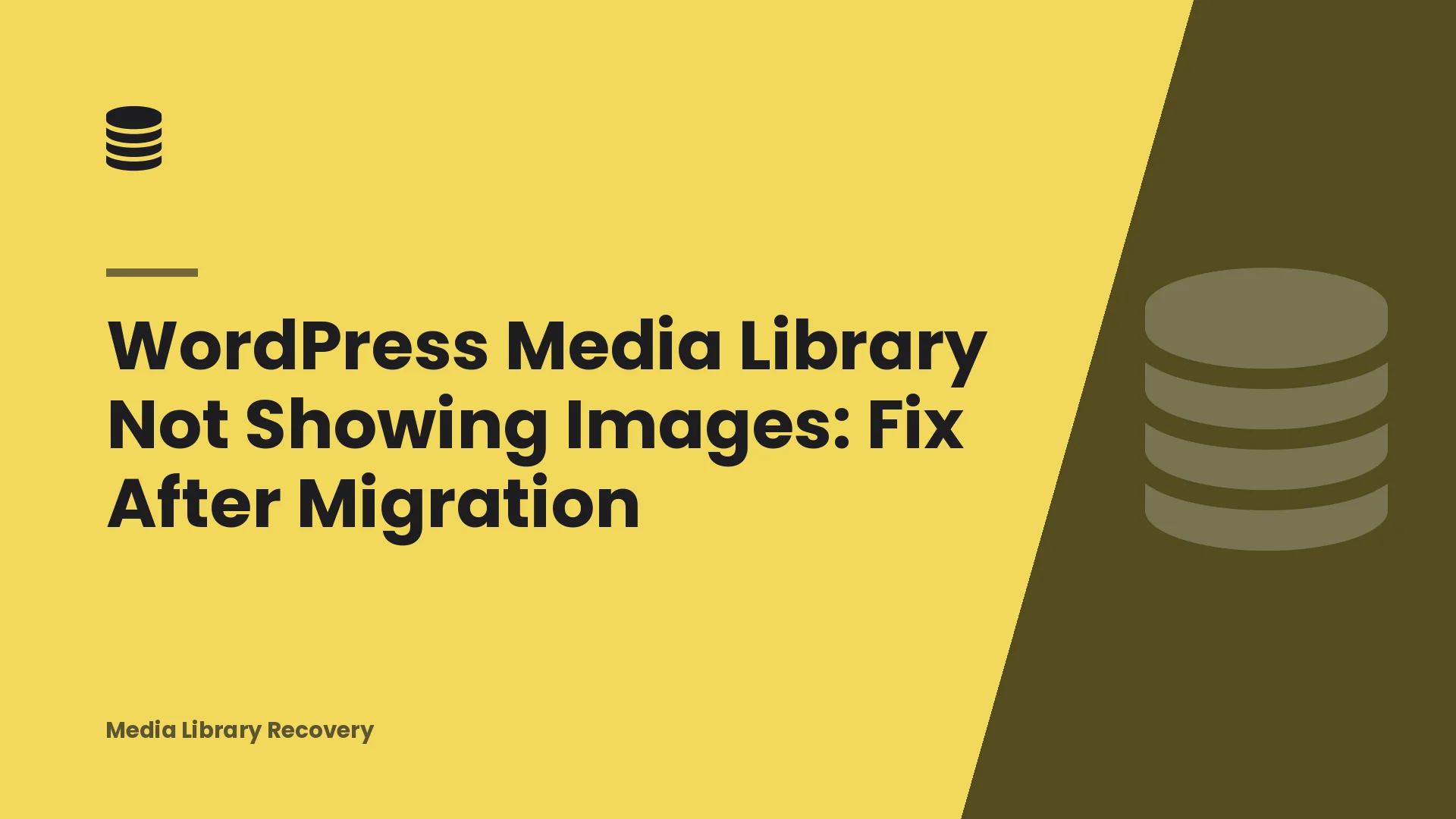 WordPress Media Library Not Showing Images: Fix After Migration